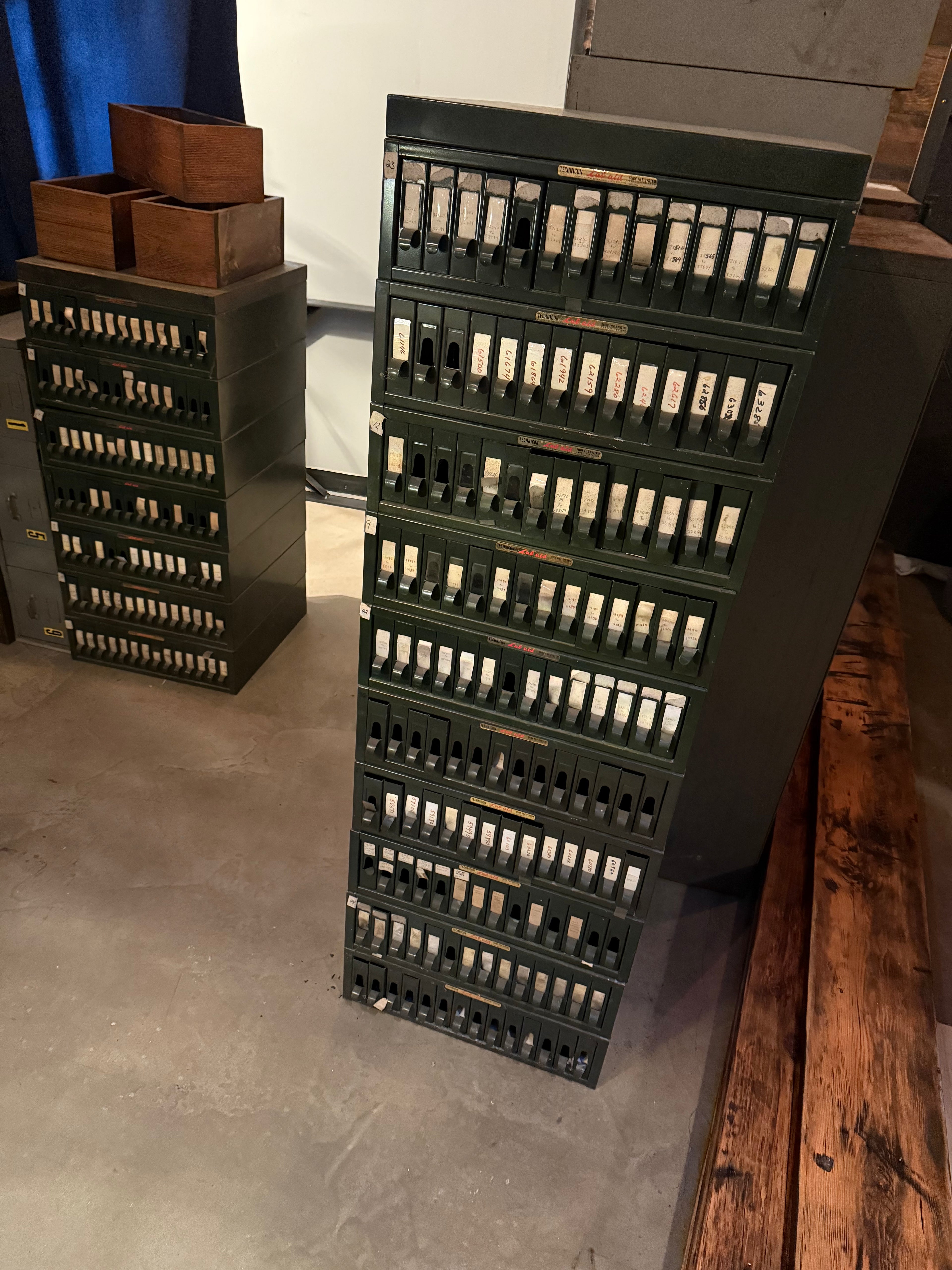Specimen Organizer